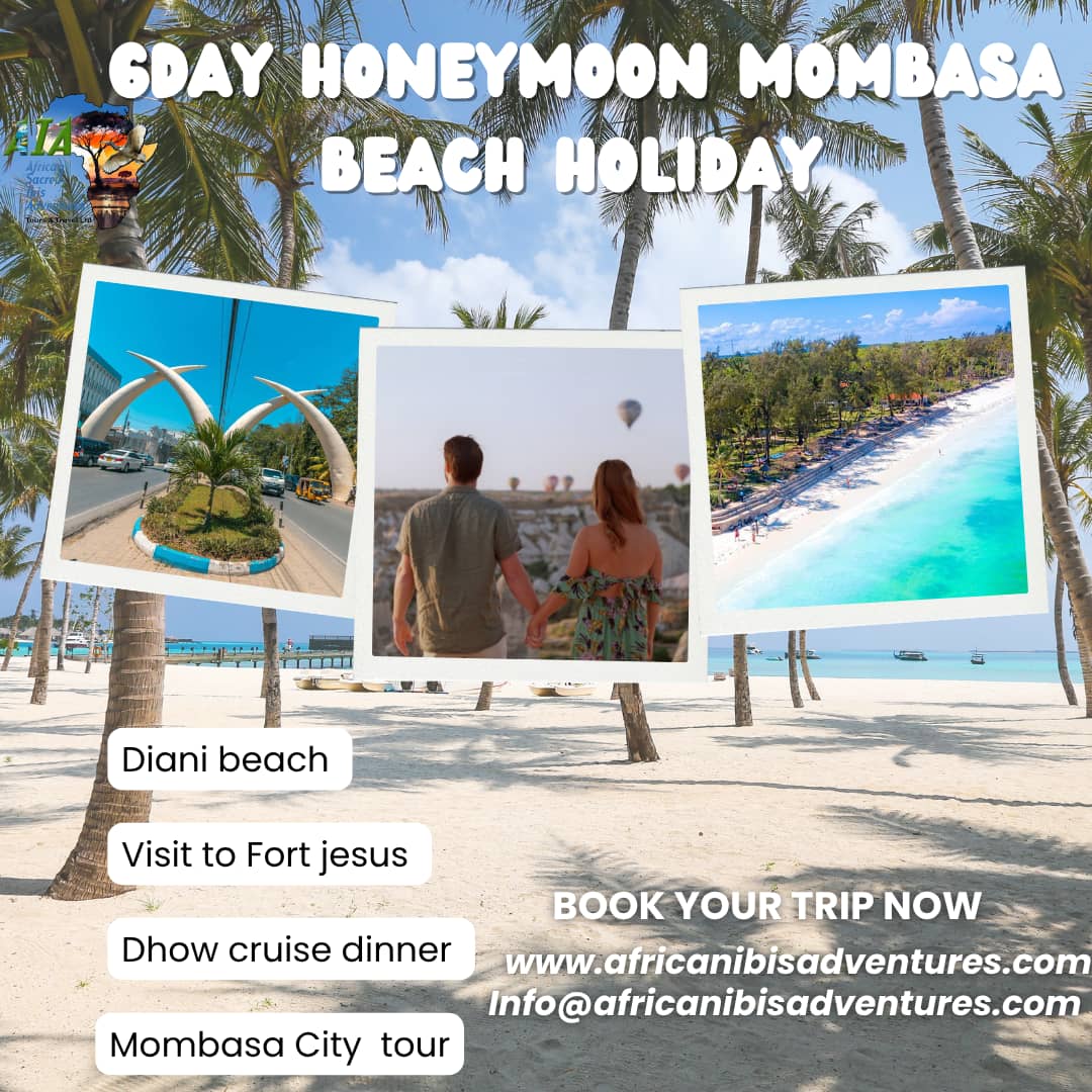 African Ibis Adventures