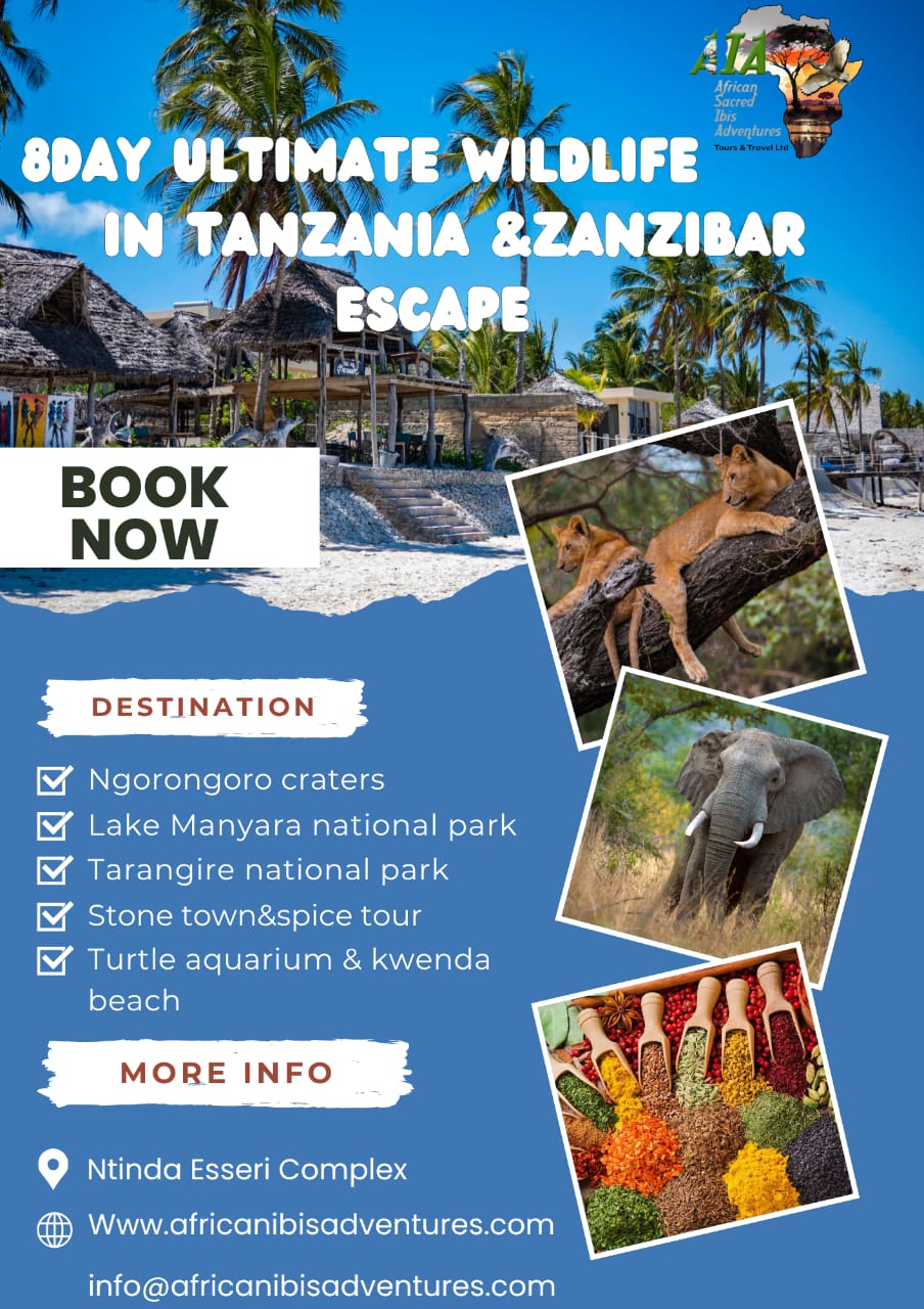 African Ibis Adventures